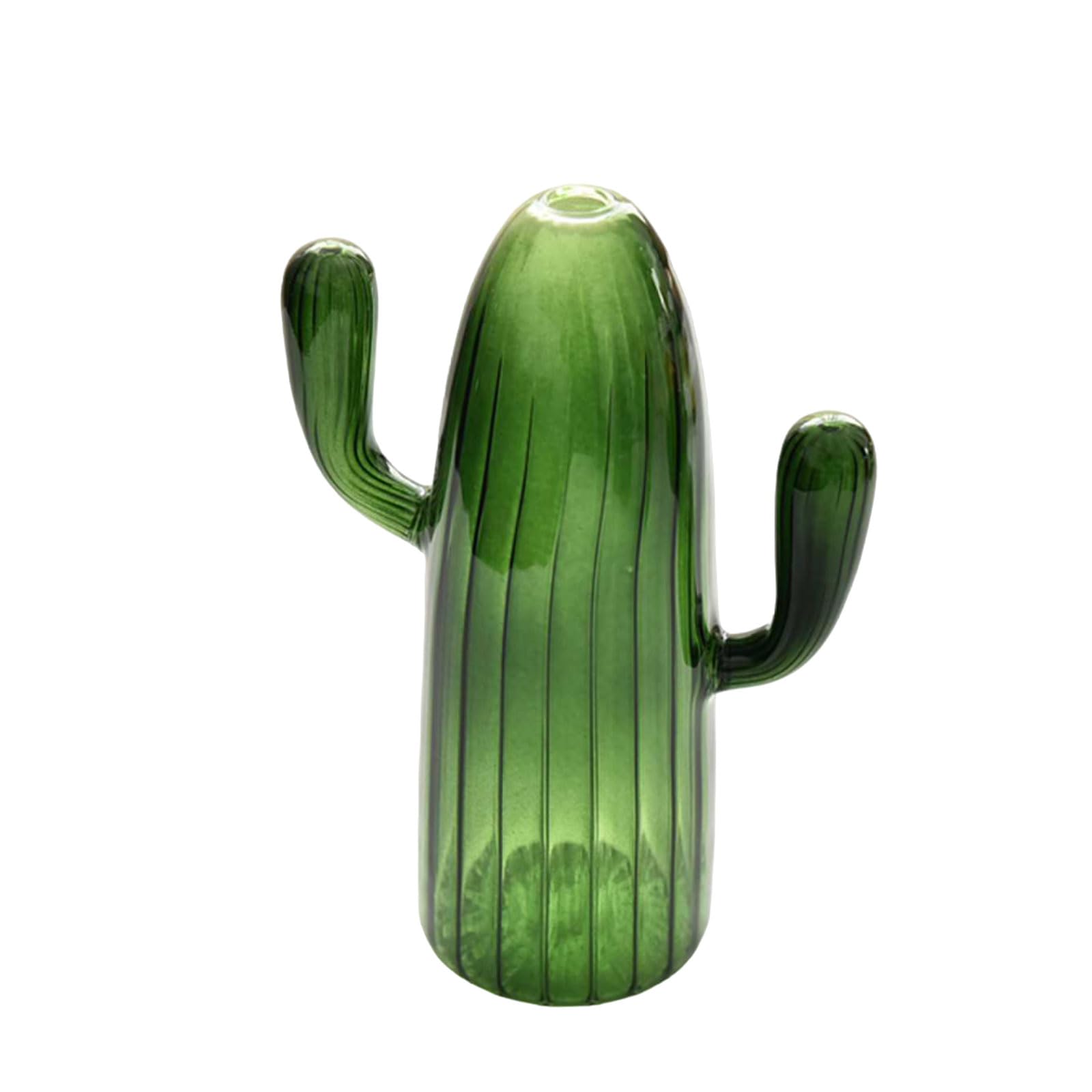 Cactus Glass Vase Hydroponics Plant Flowerpots Livingrooms Decorations Pen Bottle Flower Arrangement Home Decors Cactus Vase