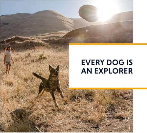 RUFFWEAR Verstellbare Umhängetasche & Gürteltasche für Hundespaziergang, Umhängetasche oder Hüfttasche mit Reißverschlusstaschen, Hundeleckerli-Tasche & Hundekotbeutel-Tragetasche, Rot Sumac