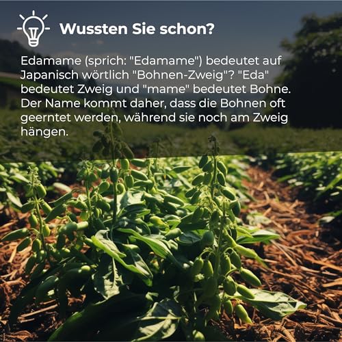 Edamame-Bohnen 1 Kg I Mischung aus 3 gerösteten, leicht gesalzenen Sojabohnen 1 kg I Glutenfrei I Schmackhafte natürliche getrocknete Bohnen I Geeignet für Veganer I Snacks und Zwischenmahlzeiten