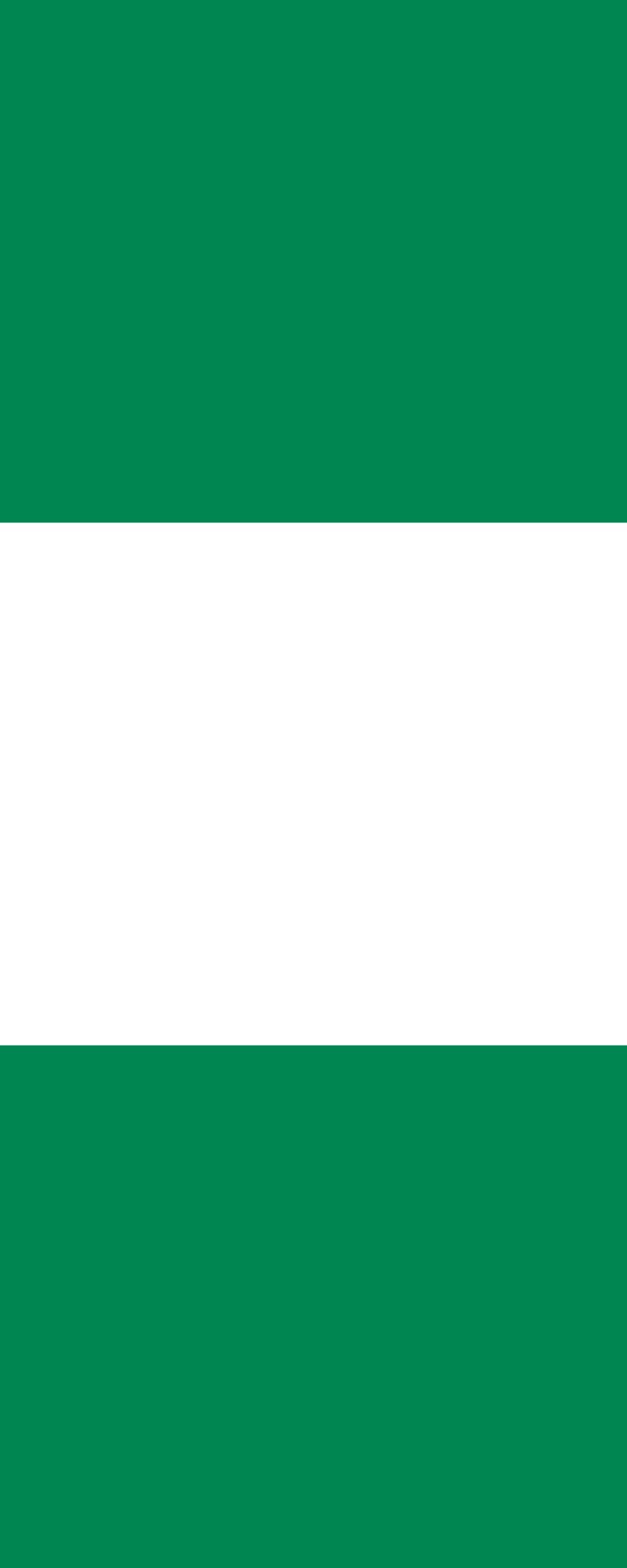 Drapeau Nigeria grand format pour célébrations et festivals
