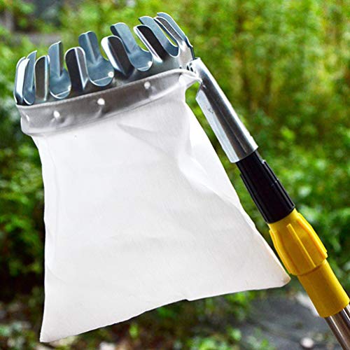 Cueille-fruits Avec Sac Intégré - Panier En Acier Inox 16 Cm - Pour Baies, Avocats, Agrumes Et Fruits Hauts