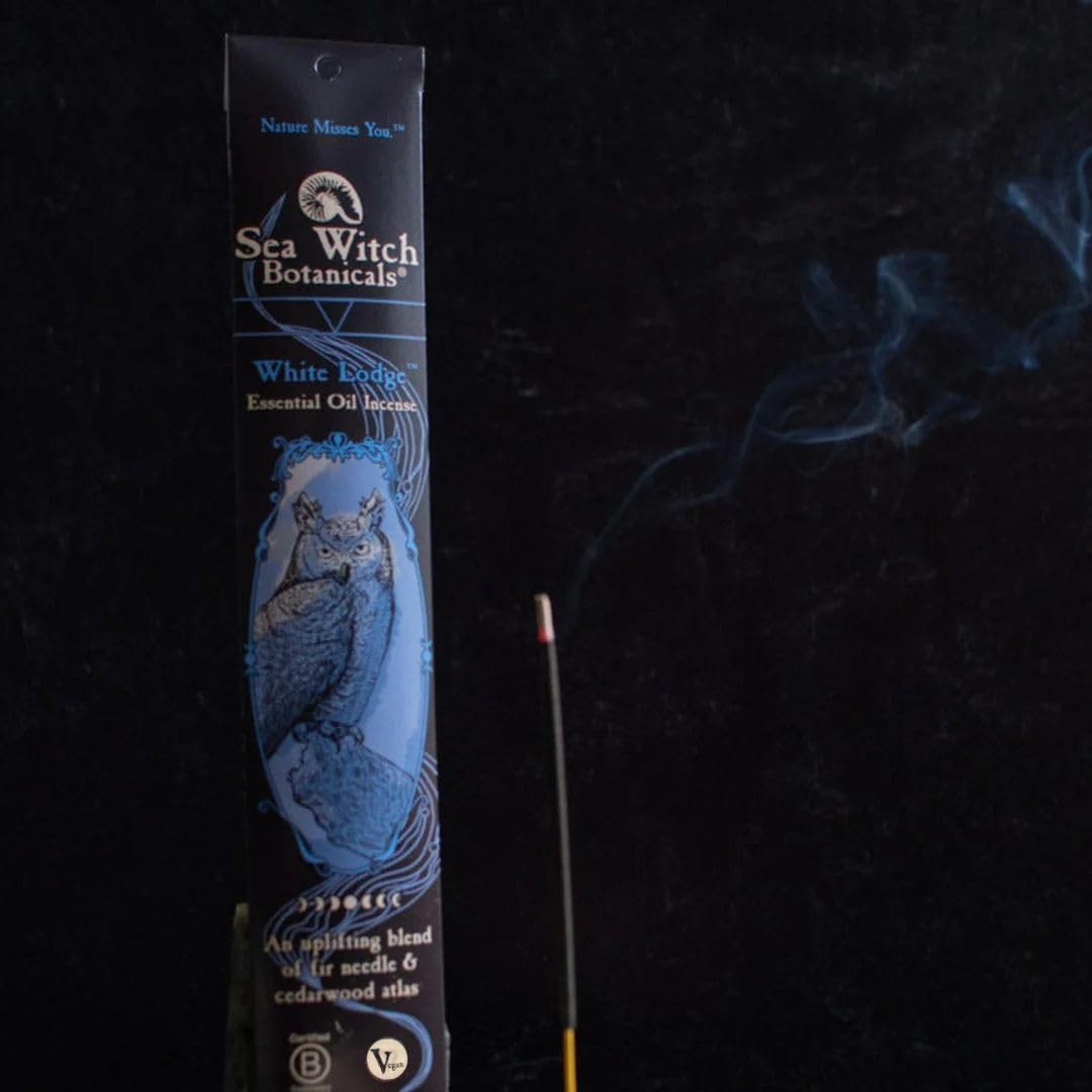 Sea Witch Botanicals Collezione di incenso Triada da portare in volo, miscele di oli essenziali naturali, 3 scatole da 20 bastoncini di incenso, atossici, rituali e relax