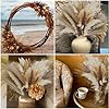 300 PCS Dried Pampas Grass Decor, Dried Flower Bouquets for Wedding, Home, Centerpiece Table, Modern Home, Western Living Room, Nurserie, Nursery, Boho Room, Beach, Women Office, and Boho Decor #2