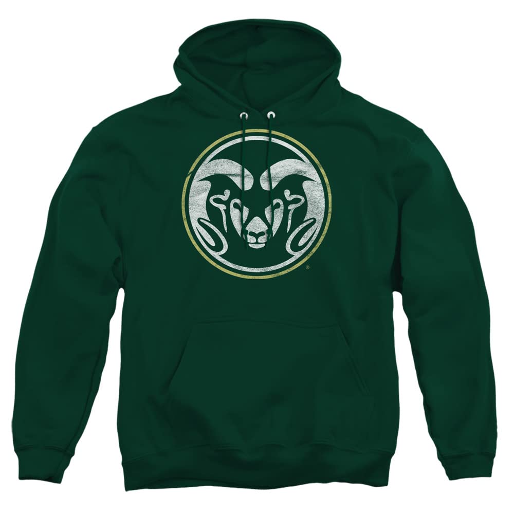LOGOVISION Official Collegiate Distressed Primary Logo Adult Pullover Hoodie Collection — view 264