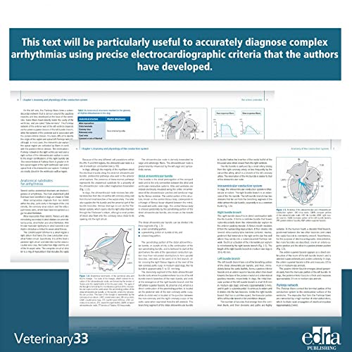 Electrocardiography Of The Dog And Cat. Diagnosis Of Arrhythmias. Ii Edition #TOP2