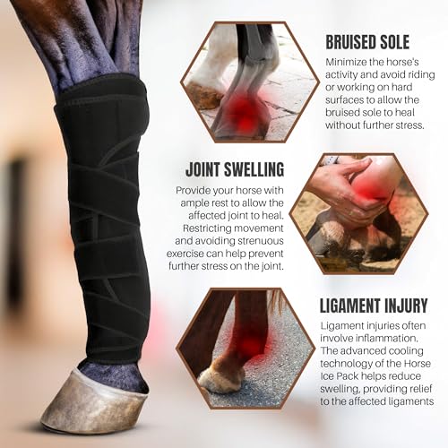 Image of Horse Ice Boots - Cooling Ice Pack for Knee, Hock, Ankle, Hooves Injury - Hot and Cold Therapy Leg Wraps - Full Coverage Cold Packs - Includes 1 Wrap + 2 Gel Packs
