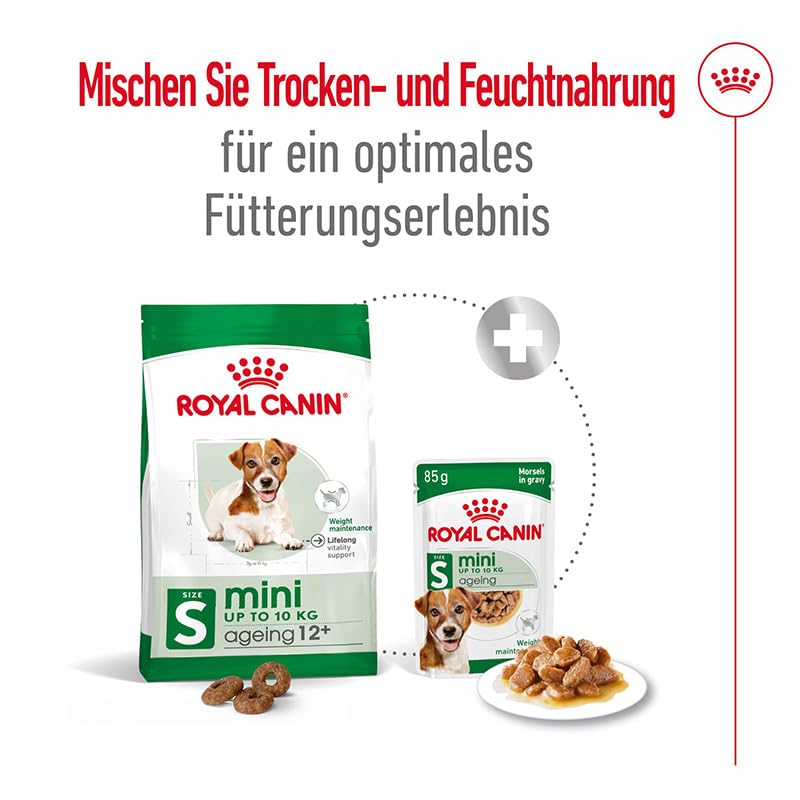 Royal Canin Mini Ageing 8+ | Doppelpack | 2 x 12 x 85 g | Alleinfuttermittel für kleine ältere Hunde | Stückchen Soße