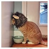 Good Hustle Unplugged [Explicit]