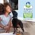 Bona Multi-Surface Floor Cleaner Spray - 32 fl oz - Unscented - Refillable - Residue-Free Floor Cleaning Solution for Stone, Tile, Laminate, and Vinyl Floors