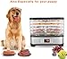 Electric Food Dehydrator Machine with 5 BPA Free Trays, Digital Timer and Temperature Control for Beef Jerky, Fruit Leather, Herbs