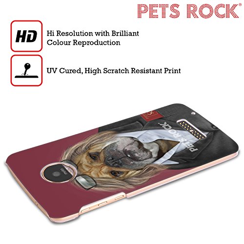 Direction Pets Rock celebrità custodia rigida per