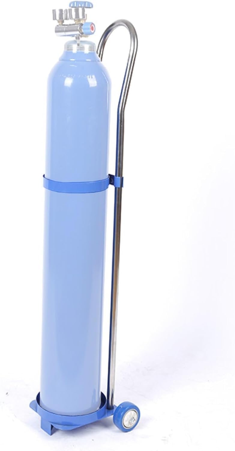 WQPMNYG Gas Cylinder Stand for 10-20L Tanks, Portable Rolling Cart for Oxygen/Nitrogen Storage, Ideal for Laboratories, Hospitals & Schools, 110cm Height