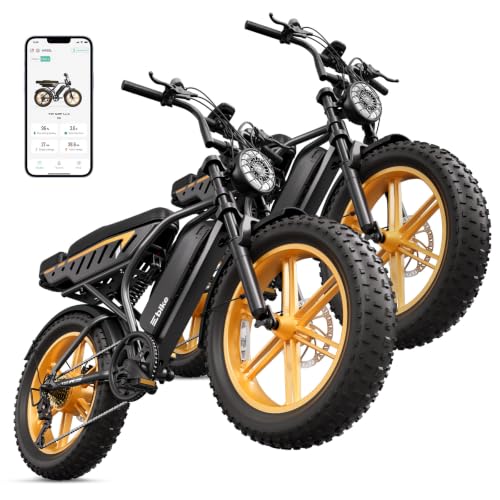 Image of TS TST GRP LLC Electric Bike for Adults, 20 inch x4.0 Fat Tire Retro E Bike