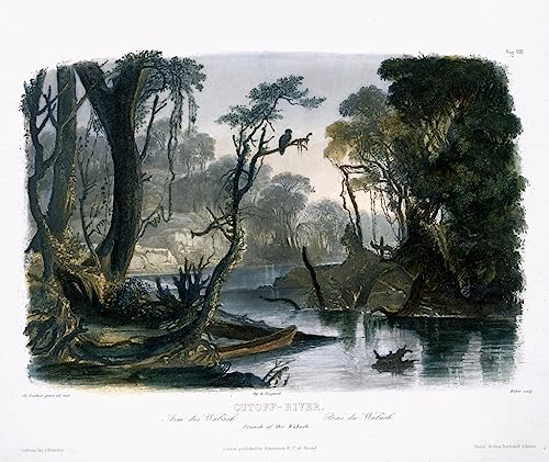Impressions d'art Mural de la rivière Cutoff du Wabash par Karl Bodmer en édition 60x90cm