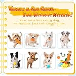 KIPRITII Plentiful Jouets pour chiens pour petits chiens & Les chiots – 23 Ensemble de jouets de dents chiots avec squeaky Fox sans stuffing, jouets à corde & Plus pour le soulagement de l'ennui