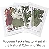 84 Pcs Dried Pressed Leaves Flowers Real Natural Dried Leaves Plant Kit Assorted