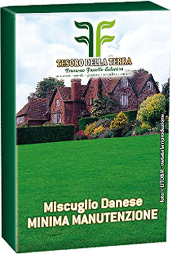 Seme Prato Festuca Arundinaceea Kg 5