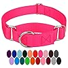 Country Brook Petz Martingale Dog Collar Heavy Duty Training Collar with No Buckle Service Dog Collar for All Pups Vibrant Colorful Collection Hot Pink 1 Inch Medium