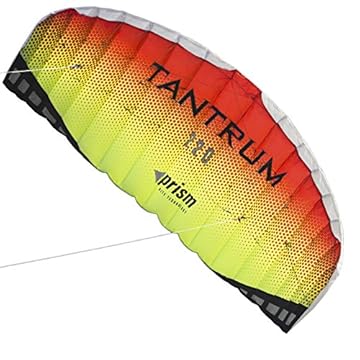 trainer kite with bar