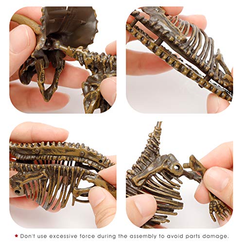 6 Pcs Dinosaur Skeletons, Assembly Dinosaur Toys For Boys And Girls, 3D Puzzle Dinosaur Model For Kids Age 6+ Dinosaur Gift, Festival Gift, Dinosaur Theme Party, Birthday Gift (3 Boxes Of Two Each) #TOP2