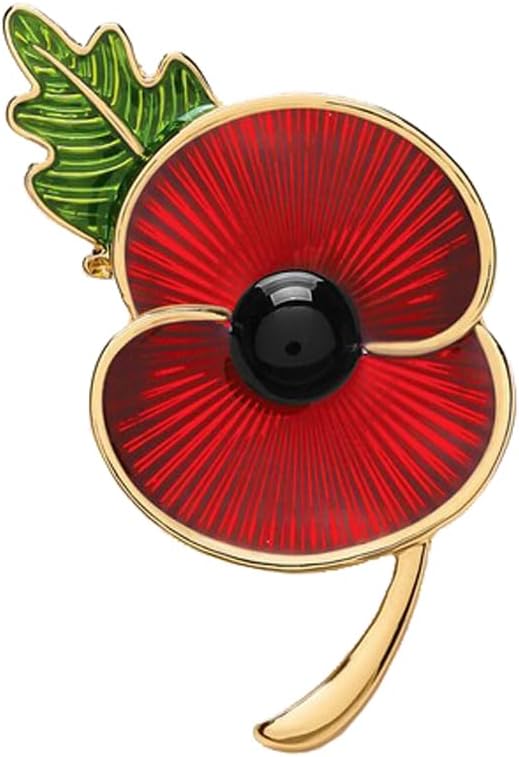 ClysburtuonyLest We Forget Scroll Poppy Pin Remembrance Day Veteran Brooch