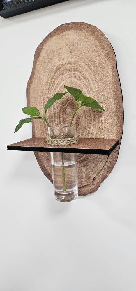 Station de Propagation Murale Plante avec Grand Tube en Verre pour