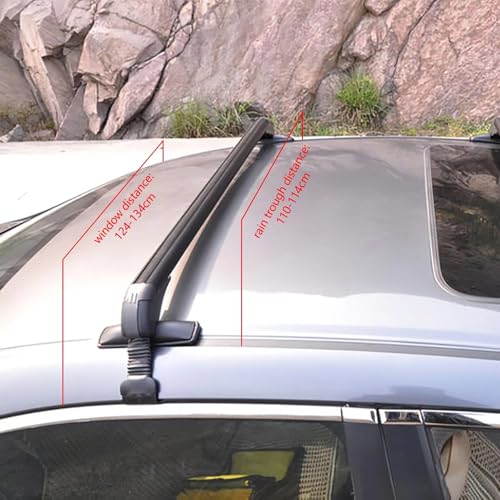 Baca de techo para coche de 5 puertas ideal para llevar equipaje en vacaciones 3