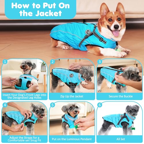 HezzLuv Hundemantel Winter, Hundemantel Wasserdicht, Warme Hundejacke mit Geschirr, Reflektierende Streifen, LED-Leuchtkragen, Winterjacken & Wintermäntel für Kleine, Mittelgroße Hunde