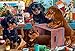 Studio Puppies Jigsaw Puzzle 100 Piece