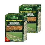 2x Allflor Herbst-Rasendünger 3kg Box I Zur Stärkung der Gräser I Optimale Nährstoffzufuhr I Macht den Rasen winterfest I füllt Kalidepot auf I Ideal für Spätsommer & Herbst I Bio Herbstrasendünger