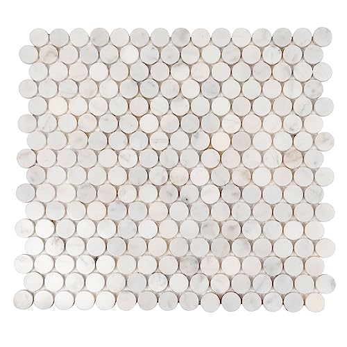 Apollo Tile 5-Pack 11.3 x 12.3-in. White Polished Marble Penny