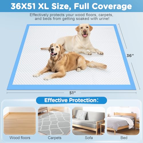 Image of iweepet 4XL Puppy Pads 36 inchx51 inch 40 Count, Pee Pads for Large Dogs & Multi-pet Families, Ultra Absorbent & Quick-Dry, Disposable Pet Training Pads for Doggie, Cat , Leakproof Incontinence Underpads