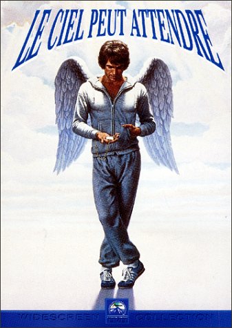 Le Ciel peut attendre