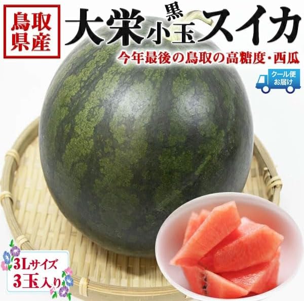 鳥取県産 大栄すいか 黒小玉 3Lサイズ 2.8kg 3玉入【クール便指定】段ボール箱入り【JA糖度センサー選果済み・鳥取県産西瓜】