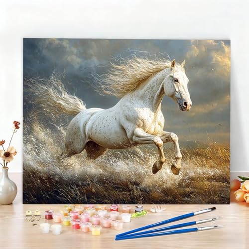 yCgoCio[ lp n yCgoCio[Y qp SҌ DIY LoXGLbgAN G̋ƃuVtĂ܂ ?G  W^yCeBO   rO[ Q fR[V G 120x9