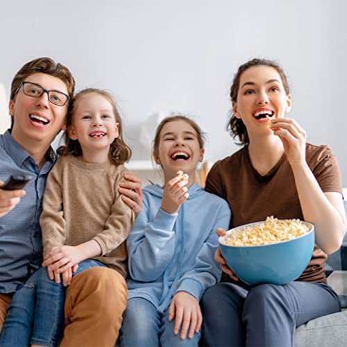 Individual Cartons Premier Flavacol Popcorn Seasoning Salt by Gold Medal