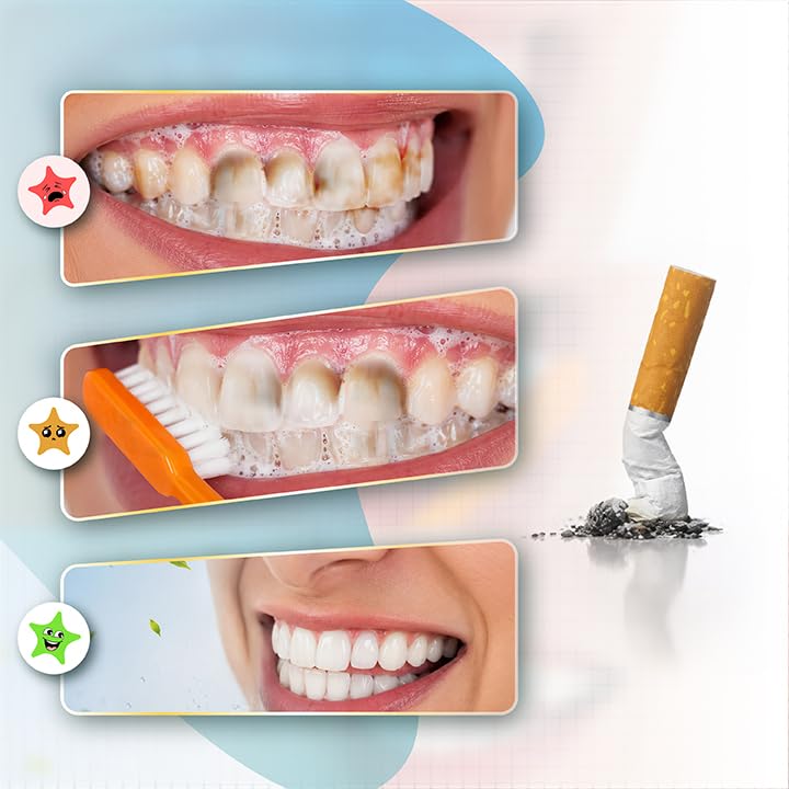 Image of MAXI Angular Hard Toothbrush | Helps Improve Gum Health | Deep Plaque & Stain Removal | Manual Hard Bristles Tooth Brush | Multicolor Value Pack of 12