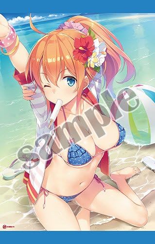 Amazon 憂姫はぐれ B2タペストリー Summer Beach アニメ 萌えグッズ 通販 Amazon 憂姫はぐれ B2タペストリー Summer Beach アニメ 萌えグッズ 通販