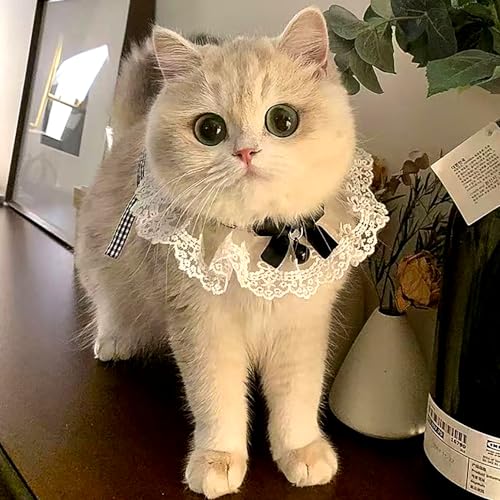 TCYYNEK 猫首輪 犬首輪 リボン かわいい首輪 猫くびわ 猫 ?圈 超軽量 ペット用首輪 蝶ネクタイ かわいい 軽い 中小型 犬 猫用首輪 ペット用品 (ブラック, M)