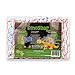 Rearz - Dinosaur - Elite Adult Diapers (12 Pack) (Medium)