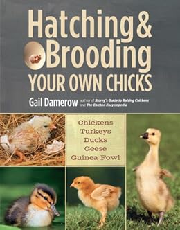 Kindle Store,Kindle eBooks,Science & Math Hatching & Brooding Your Own Chicks: Chickens, Turkeys, Ducks, Geese, Guinea Fowl Gail Damerow