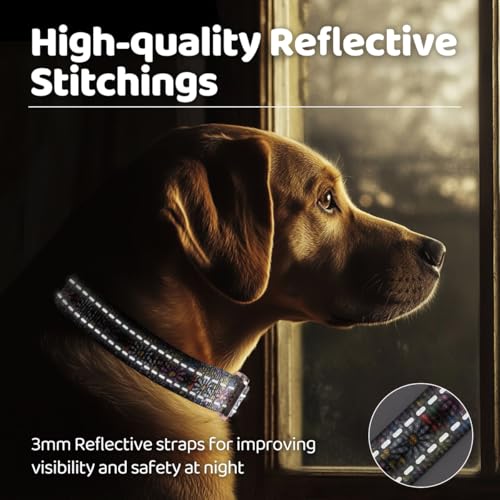 Collar reflectante para perro QQPETS ajustable de nailon miniatura 5