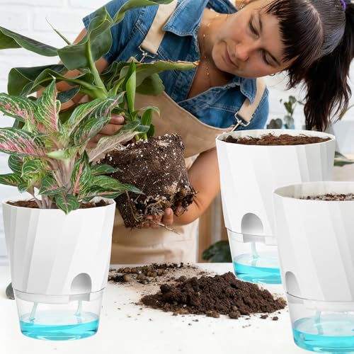 KIMCHOMERSE Self Watering Plant Pots, 6 Inch Plant Pots White, 3 Pack Flowers Pot Indoor Planter Pots with Tray for Spider Plant, Orchid, African Violet by KIMCHOMERSE - Image 7