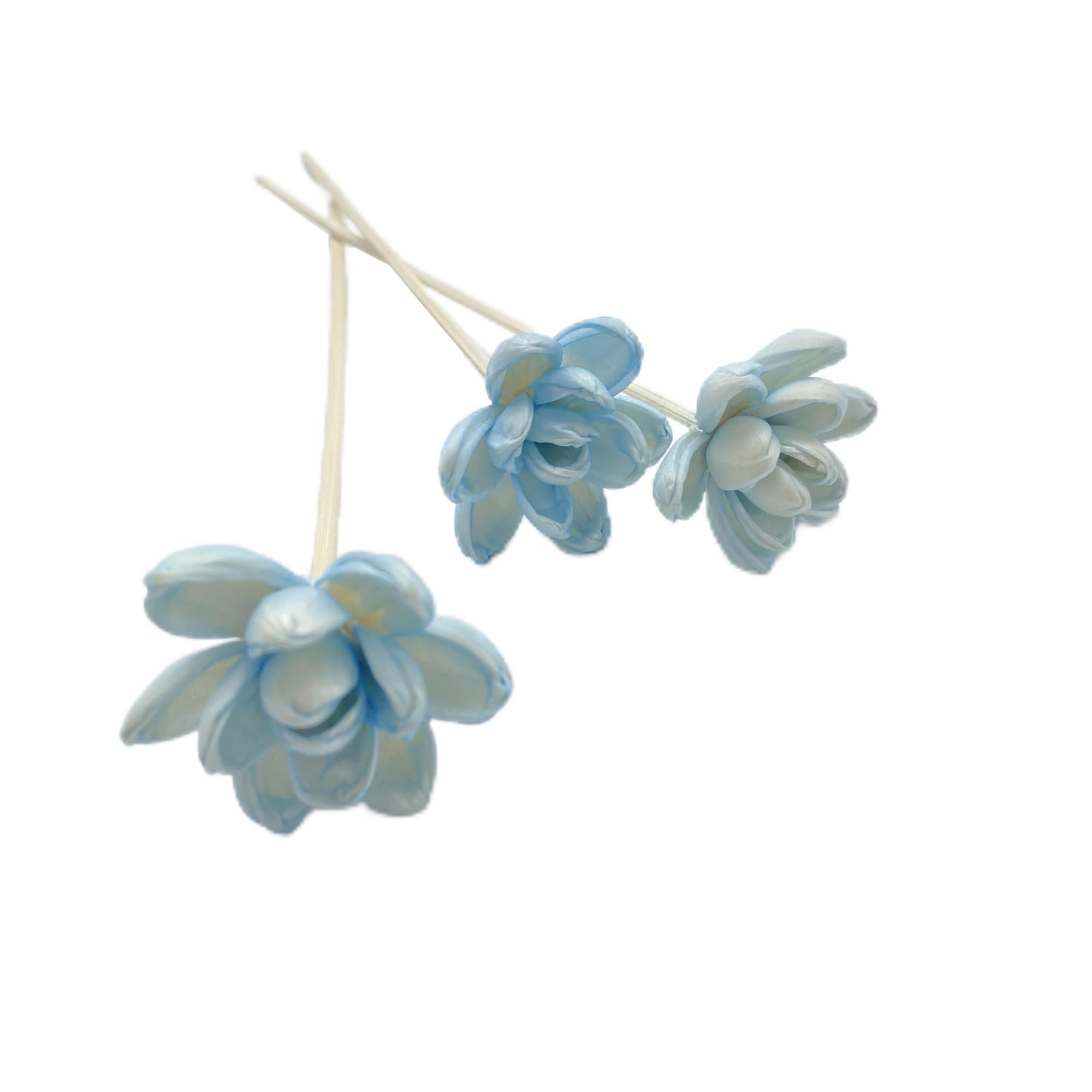 SKYPRO Artificial Flower Rattan Sticks Set Fireless Fragrances Reed Diffuser Stick Essential Oil Aroma Diffuser Sticks Diy Ornaments Home Decor - Style 10