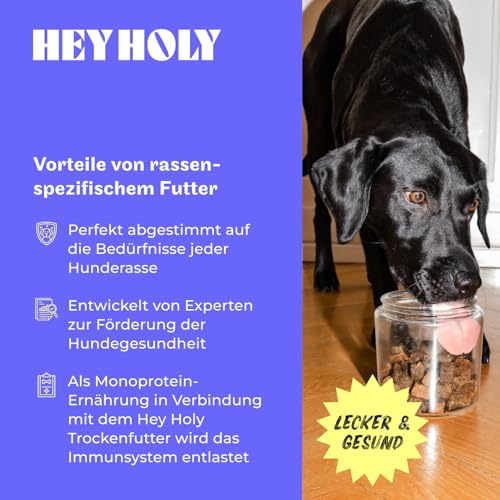 HEY HOLY Premium Hundeleckerlis für Retriever 100% getreidefrei | Hunde Snacks | 6 x 200 g Leckerli für ausgewachsene Retriever mit Lamm | Hochverträglich aus natürlichen Zutaten