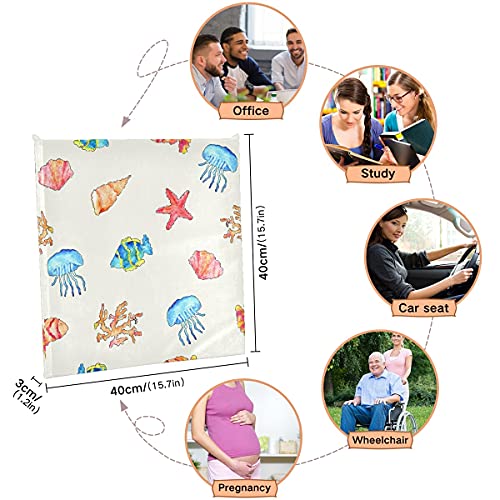 J Joysay Marine Animal Fish Seat Cushion Chair Pad Memory Foam Chair Cushion Wheelchair Seat Cushion With Machine Washable Cover For Home, Dining Chair Seats, Office, Kitchen #TOP3