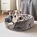 Asvin Small Dog Bed for Small Dogs, Cat Beds for Indoor Cats, Pet Bed for Puppy and Kitty, Extra Soft & Machine Washable with Anti-Slip & Water-Resistant Oxford Bottom, Grey, 20 inches