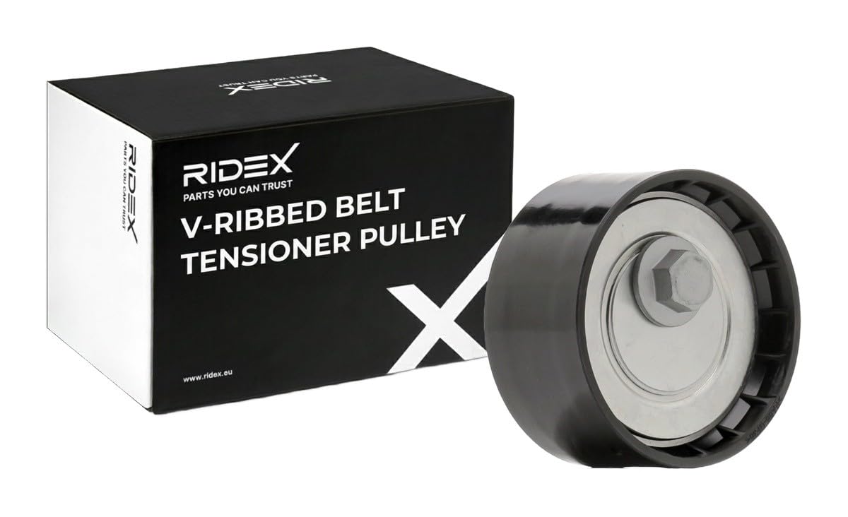 RIDEX 310T0824 Spannrolle Keilrippenriemen Kompatibel mit FIAT Ducato Kastenwagen 250, 290 QQC000719 QMK667238 504334710