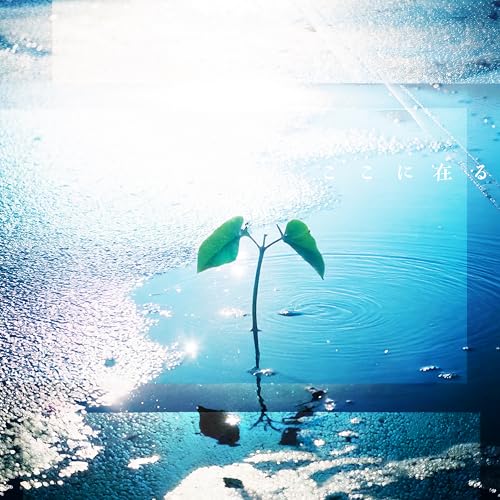 ここに在るの商品画像