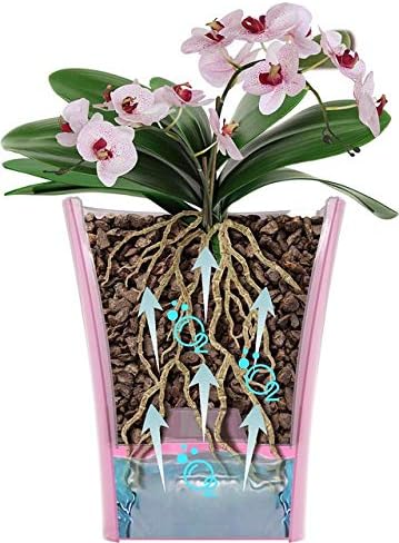 Miniatura 6 de Gardenera ARTE-DEA - Maceta de riego automático transparente de 5.8 pulgadas, maceta de interior para todas las plantas de casa, flores y orquídeas